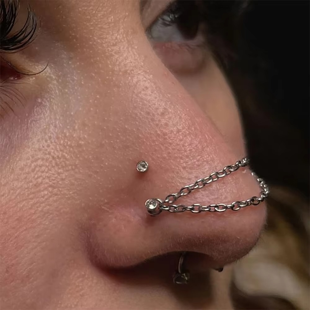 Titanium Nose Chain Double Cha - Body Jewelry Titanium review and price