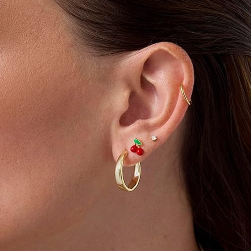 2pcs Cartilage Earrings Stud f - Tragus Flat Back review and price